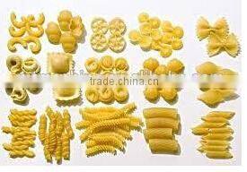 macaroni pasta producing line