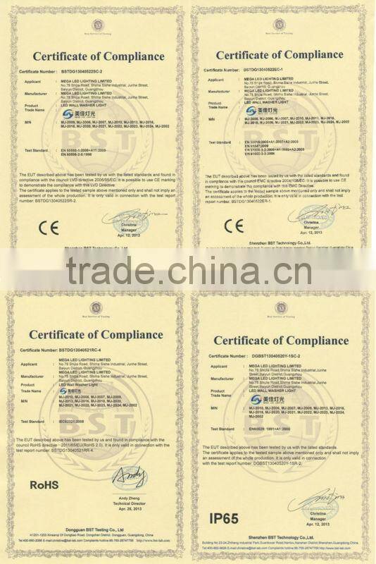 LED Two Eyes Outdoor Wall Washer Light