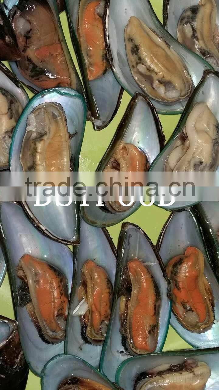 frozen green mussel