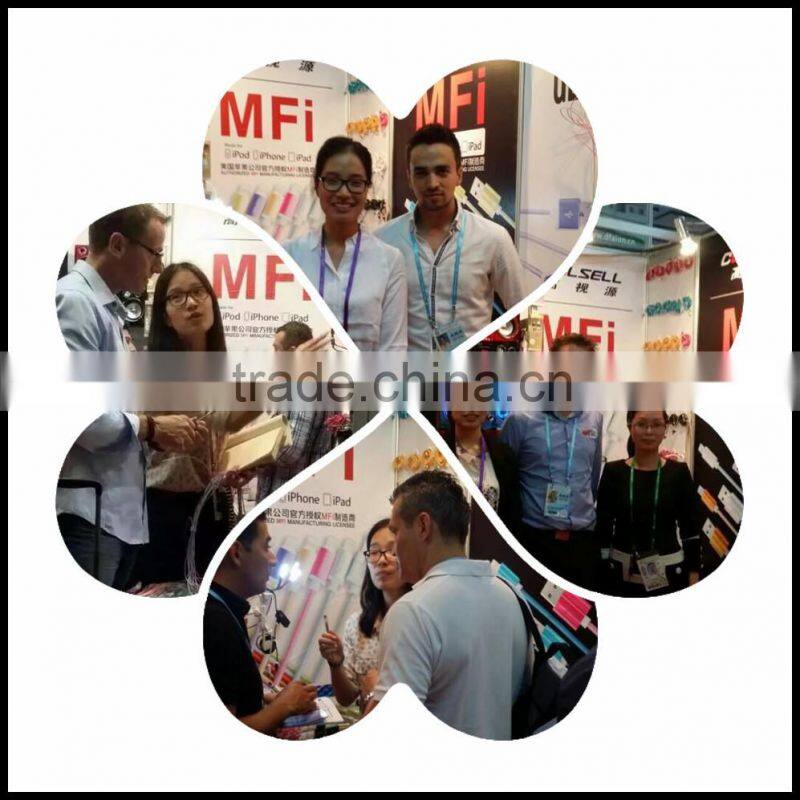 Factory wholesale cell phone USB Wall Charger