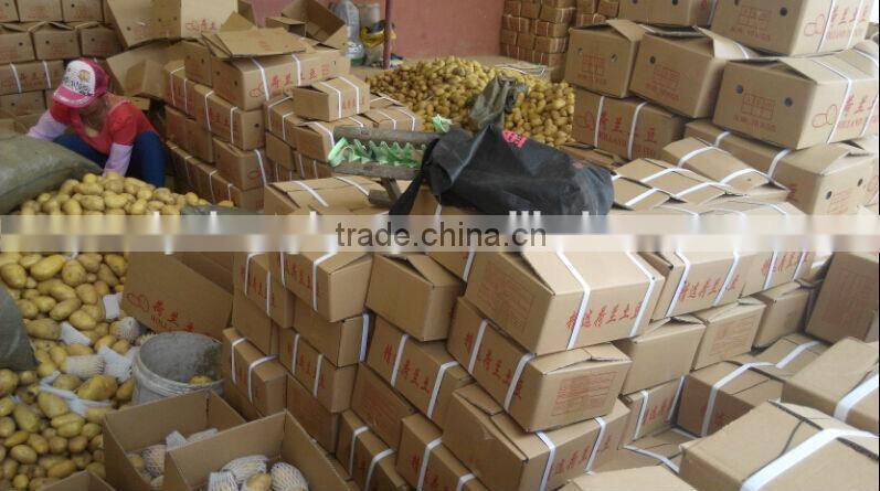 2016 New Crop Fresh Potatoes With Lowest Price