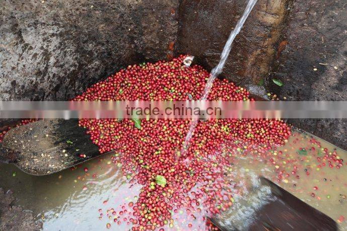Best Quality coffee bean cleaning machine for coffee bean processing