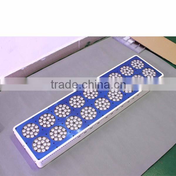 best selling products led full spectrum greenhouse led grow light red and blue 6:1 grow led light with 1000watt 