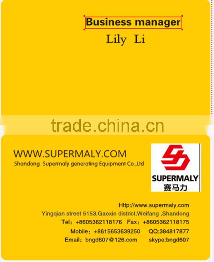 625KVA Natural Methane Gas Generator with Reliable Quility