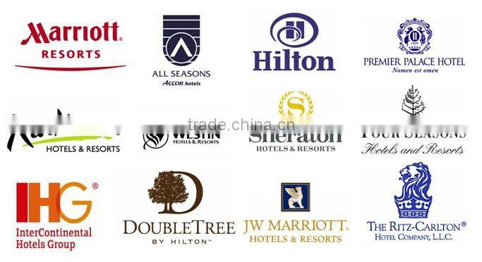 Guangzhou Factory Wholesale Fiber Filling Cheapest White Hotel Pillows