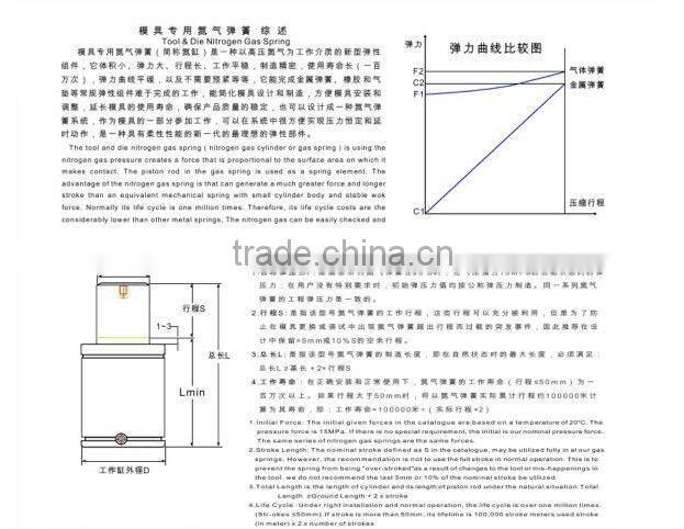 gas spring manufacturer