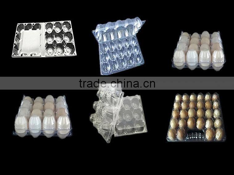 Wholesale PVC PET plastic quail egg tray packaging