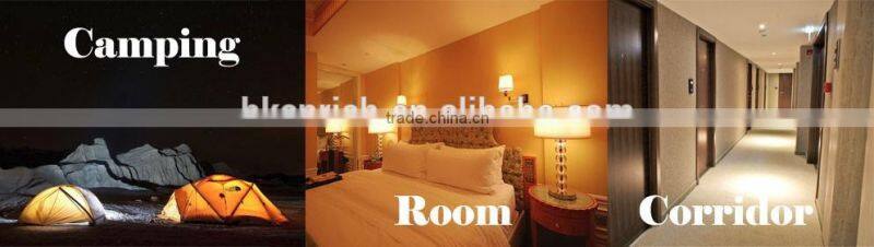 E27/B22 AC85-265V rechargeable led bulb with warm white&cold white color temperature