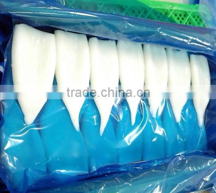 Frozen Squid illex whole round