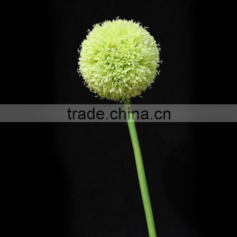 new products 2016 innovative product fistular onion flower with different size