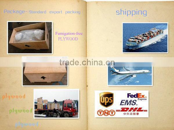 Full-Automatical Fish Meat Grinder With Big Capacity