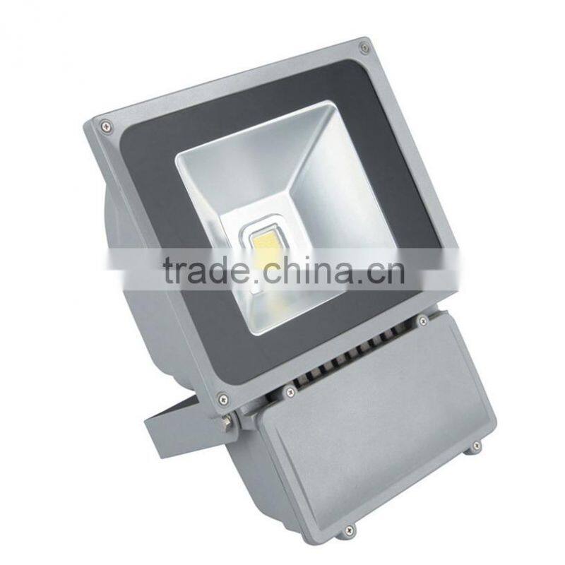 Wide Input Voltage Dust Weather Proof IP65 100w Led Flood Light