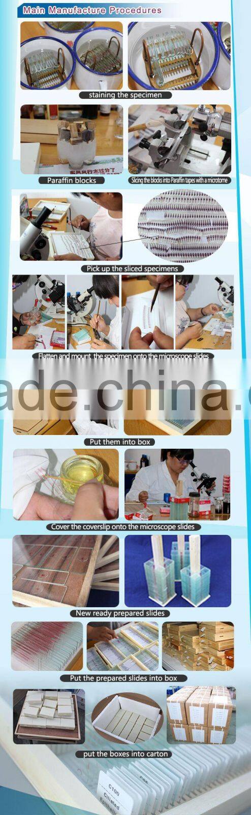 Microscope Prepared Slides ,Rock Slides, Rock Prepared Slides