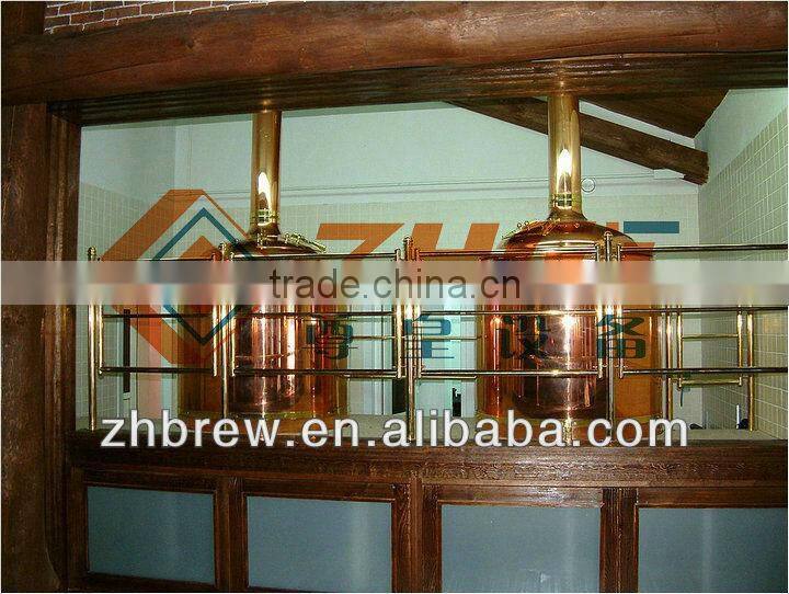 300L beautiful hotel beer equipment