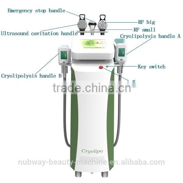 Hottest 2015 beauty equipment/cryolipolysis slimming machine ce approved cryolipolysis