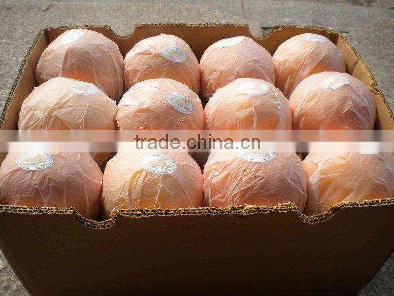Bulk Navel Orange Fruits for Sale