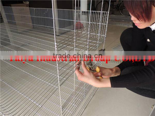TAIYU Foreign Agent Farm Quail Visit Customers Every Year