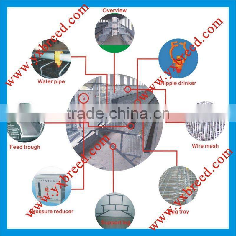 types of poultry house with egg collection system machine