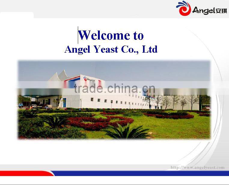 Angel Active Dry Yellow Wine Yeast,Chinese wine,saki