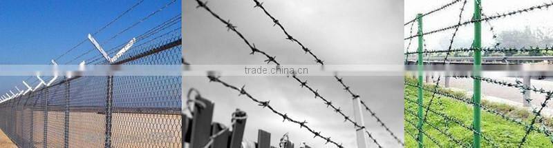 Hot dipped galvanized barbed wire fencing professional supplier