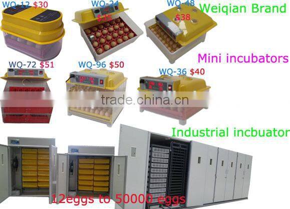 poultry egg incubator,pigeon egg hatching machine,ostrich incubator full-automatic