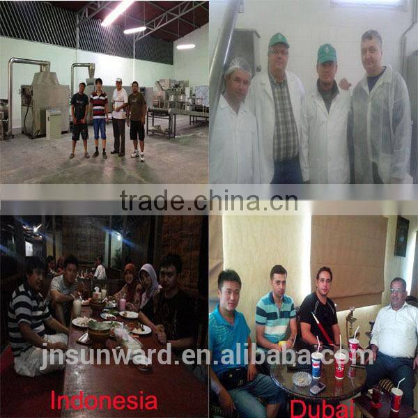 autometic and small scale snack food production line with CE