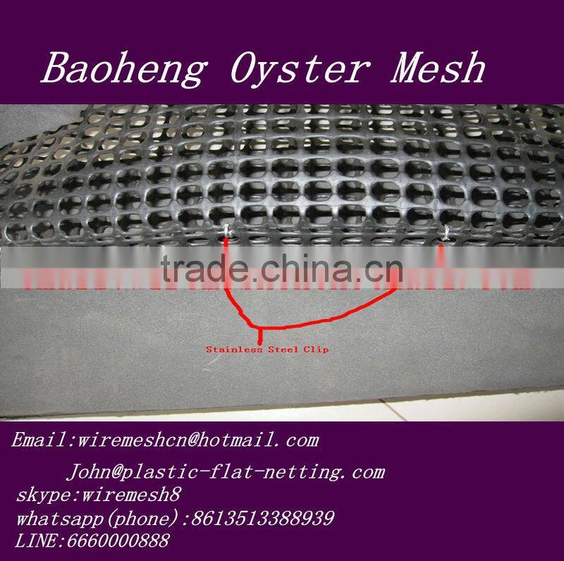 HDPE Square oyster mesh,Square oyster mesh
