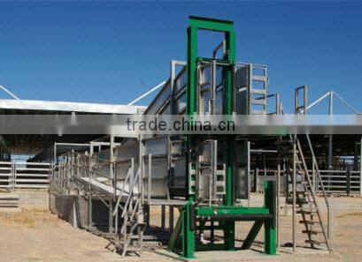 double cattle loading ramp steel loading ramp heavy duty permanent under and over