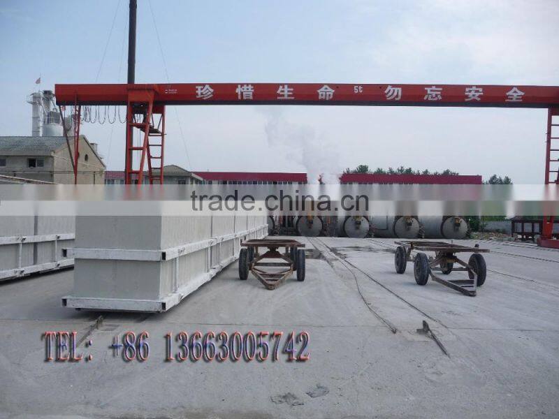 Lightweight Autoclaved Aerated Concrete AAC Panel Making Machines, Wall Panel Production Line