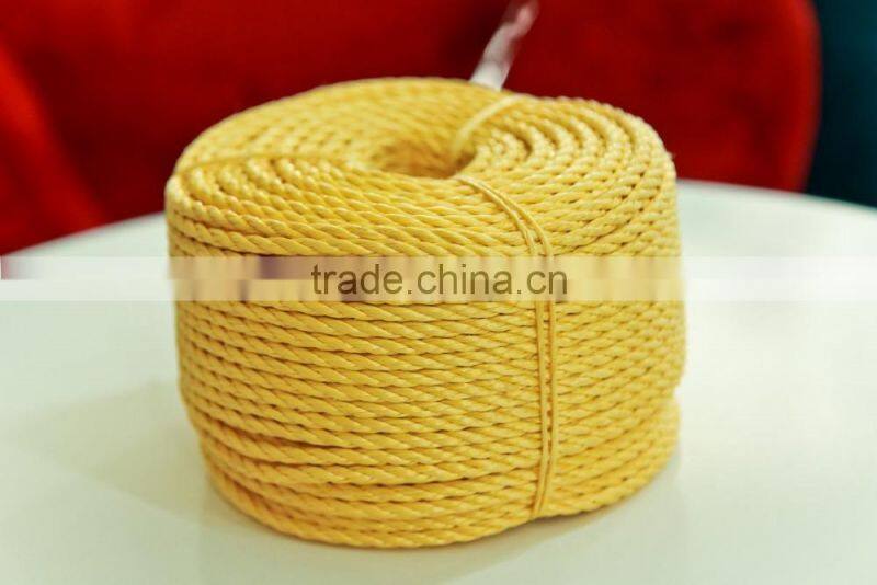 homeuse plastic PP rope