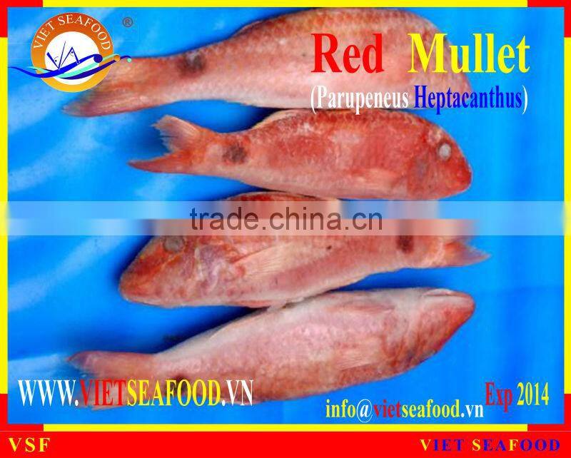 FROZEN W/R RED MULLET