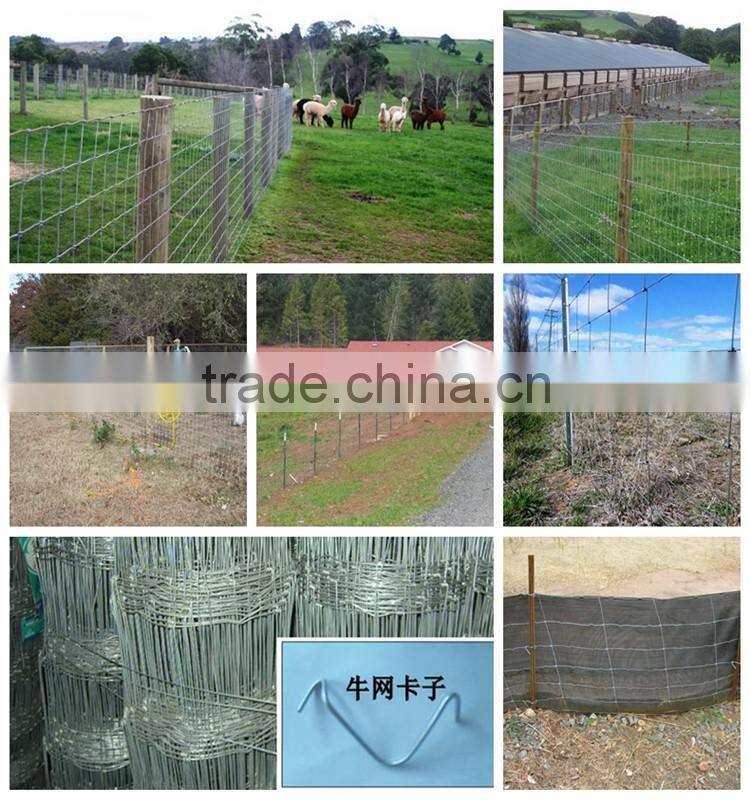 Factory grassland hot dipped galvanized woven wire sheep fence
