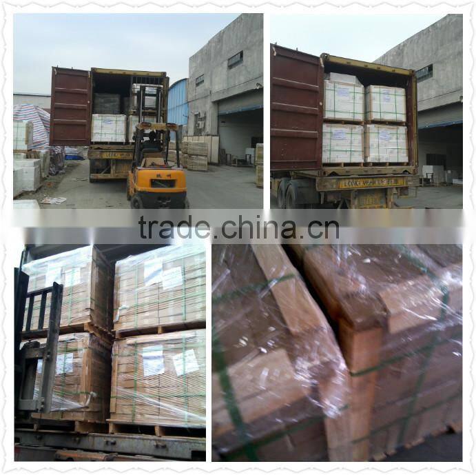 Inkjet 3D ceramic decorated wall tiles 30x60CM 20x60CM