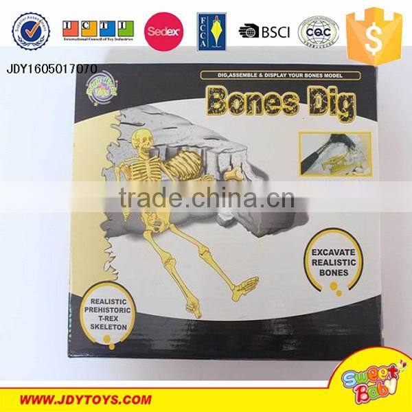 New product DIY science kit Bones dig fossil toy educational toy