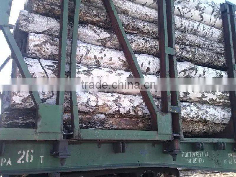 Pine birch logs FSC WOOD