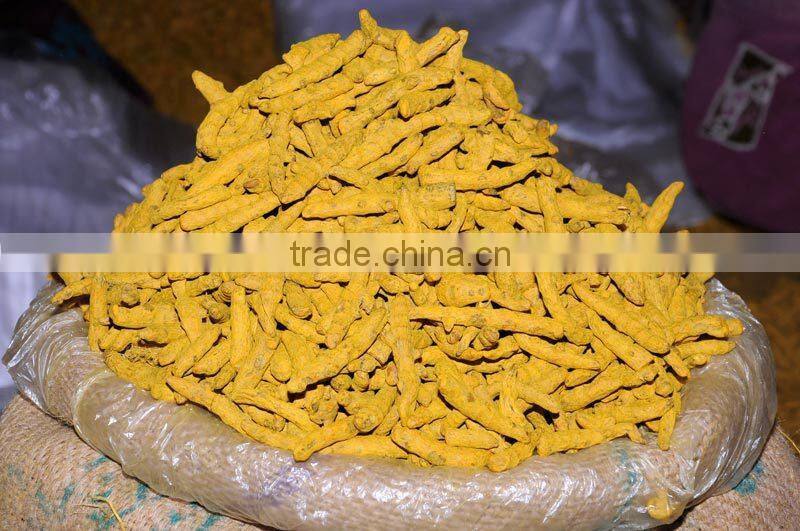 UK Quality Turmeric Finger