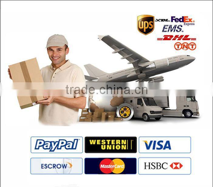 Ff5327 /1119g-030 Genuine Fleet guard Filter,Fleet guard Fuel Filter, High Quality Fleet guard Filter