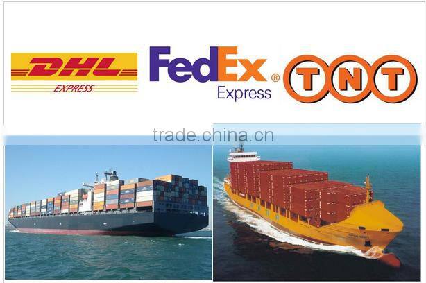 CE Digital wireless meat thermometer food thermometer BBQ thermometer TL-FT01