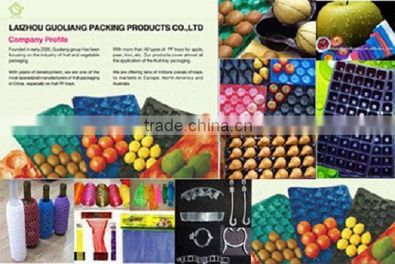29x49cm/39x59cm PP Fresh Apple Fruit Packaging Tray