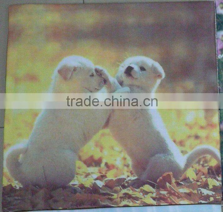 printing cashion & cashion cover