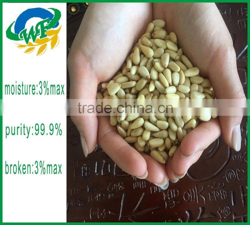 Chinese pine nuts without shell for export