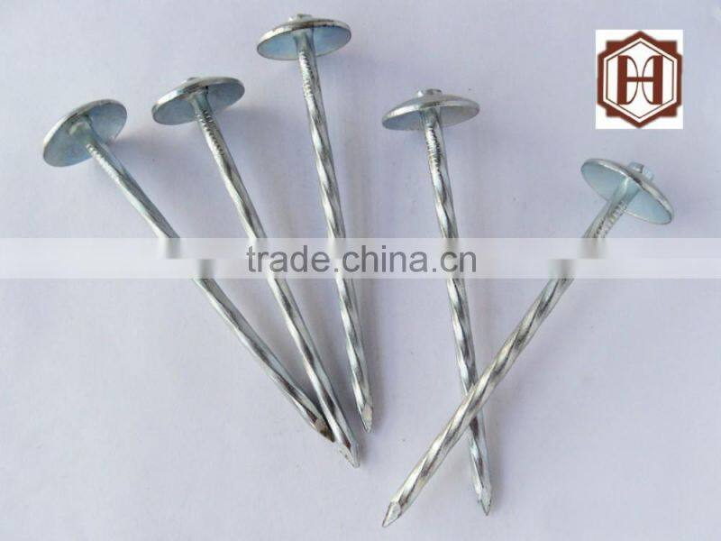 umberlla roofing nail from china supplier