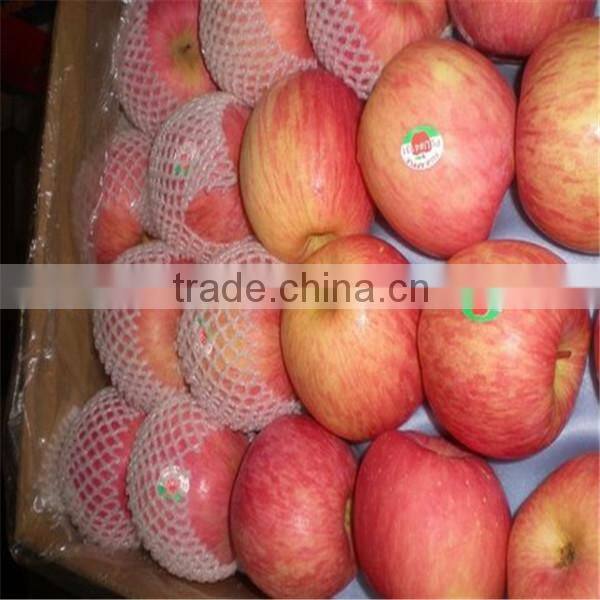 china fresh fuji apples