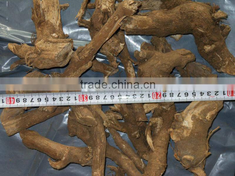 Radix eleutherococcus senticosus/Siberian ginseng (Ciwujia)