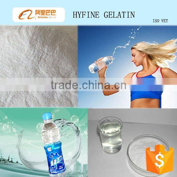 Food grade collagen powder/hydrolyzed collagen protein for supplyment