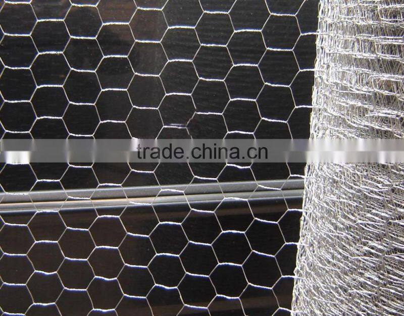 Stainless steel chicken wire rolls/chicken hexagonal mesh roll/hexagonal wire mesh