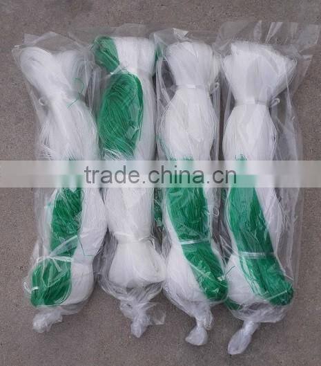 Plant Support Net. Agriculture net.cucumber support net
