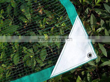 olive picking net