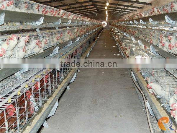 poultry cages TUV certicification hot dipped galvanized 20 years lifetime layer chicken cages with Auto water system