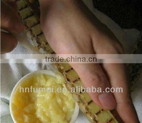 fresh queen jelly royal best price